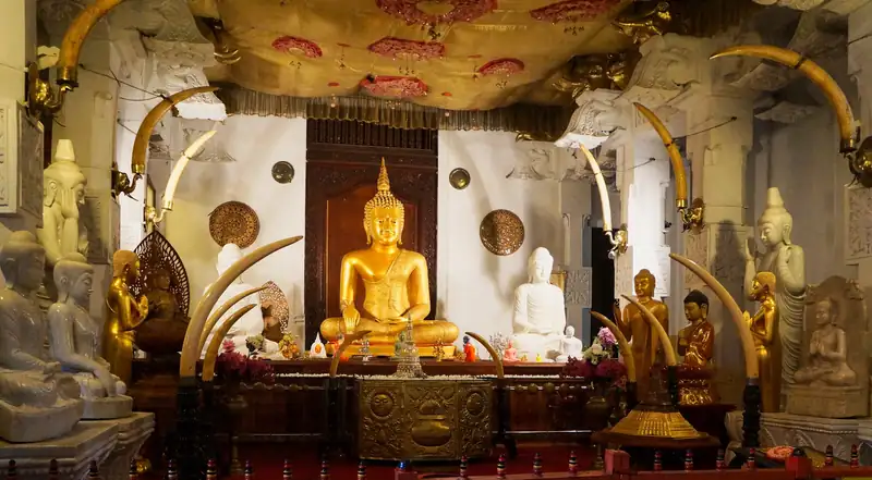 10-Day Grand Sri Lanka Experience, photo 3